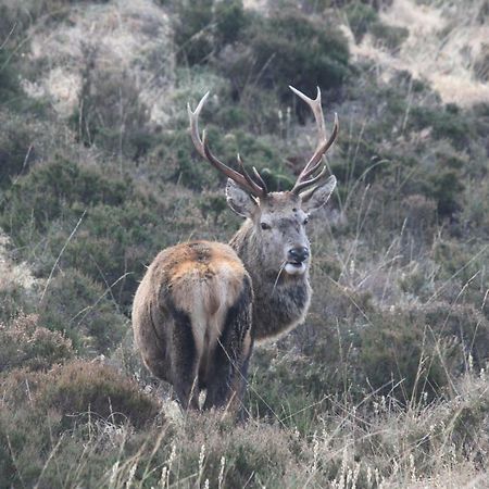 Casa Poco Bed and Breakfast Ballachulish Esterno foto